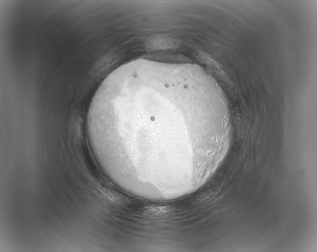 X0000067870071200605041818