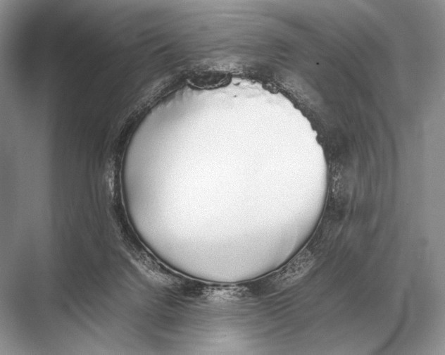 X0000067870072200605041818