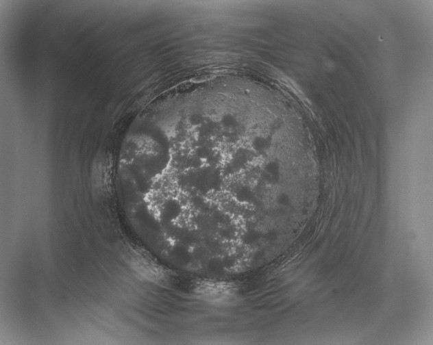 X0000067870073200605041818