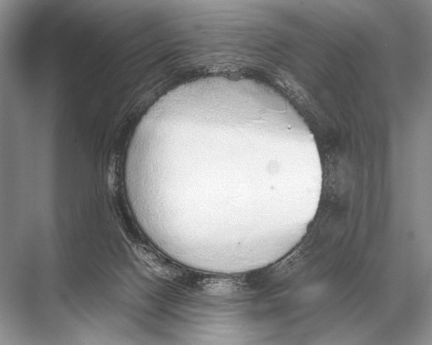 X0000067870074200605041818