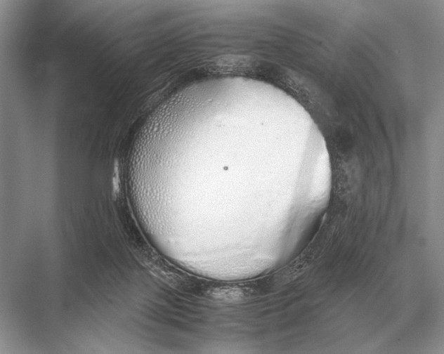 X0000067870075200605041818