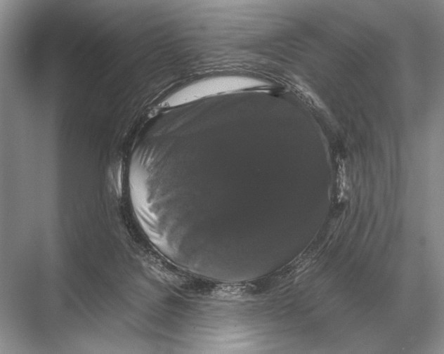 X0000067870076200605041818