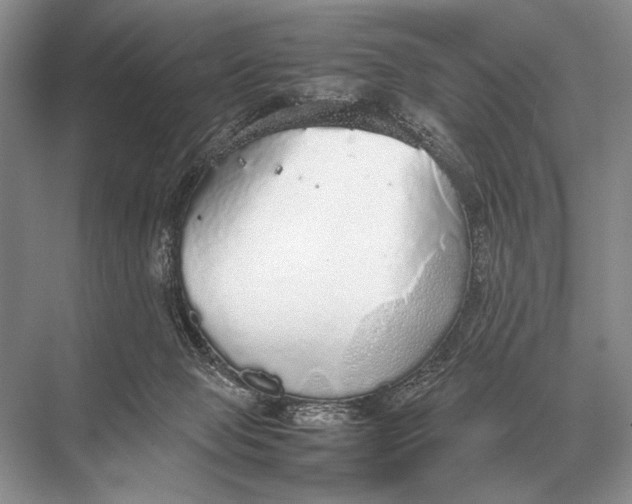 X0000067870077200605041818