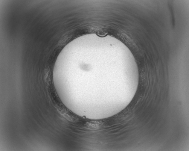 X0000067870079200605041818