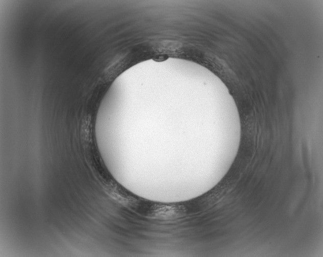 X0000067870083200605041818