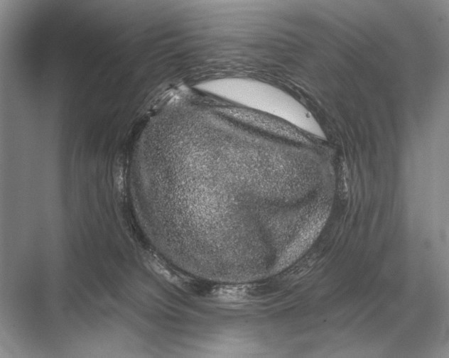 X0000067870084200605041818