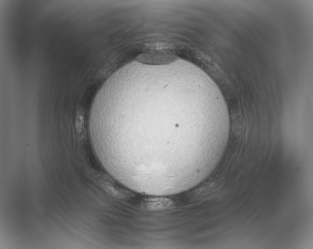 X0000067870087200605041818