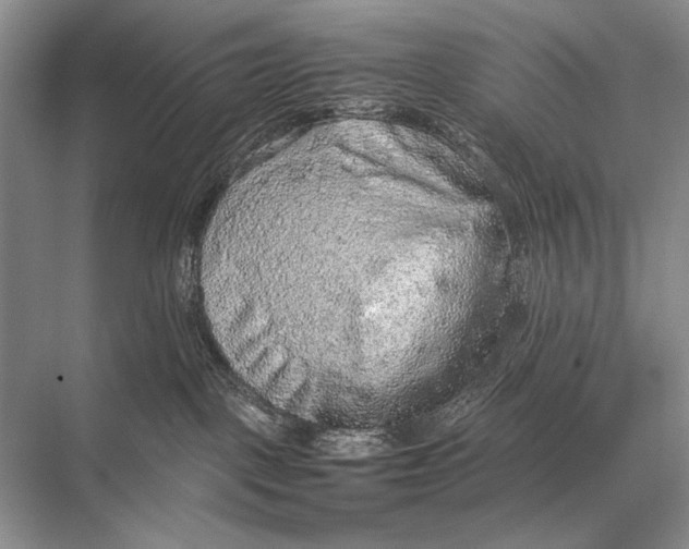 X0000067870093200605041818