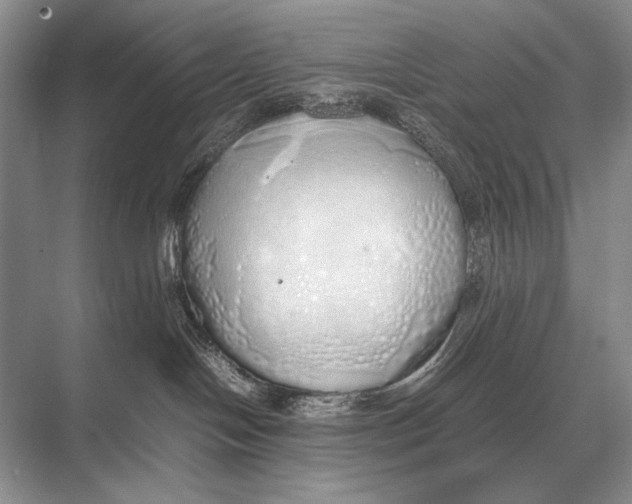 X0000067870094200605041818