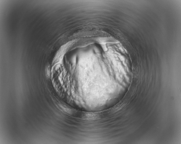 X0000067870095200605041818