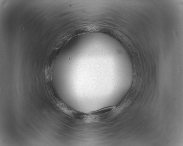 X0000067870096200605041818