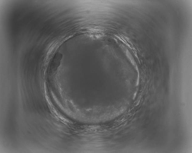 X0000067870097200605041818