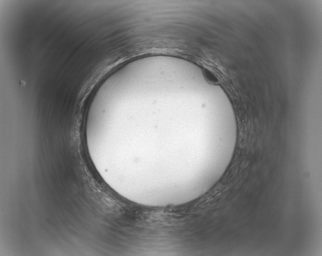 X0000067870098200605041818