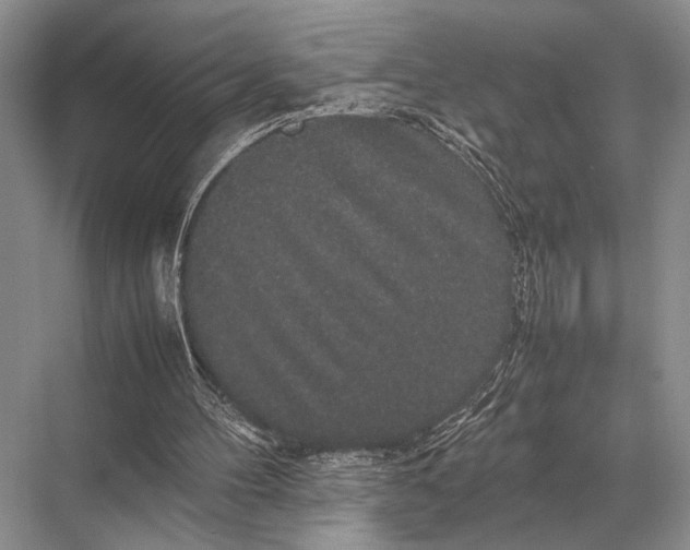 X0000067870100200605041818