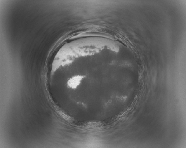 X0000067870101200605041818