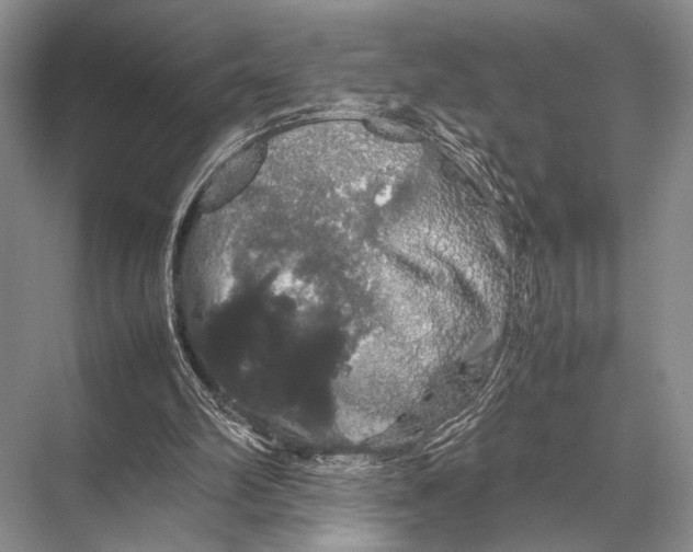 X0000067870102200605041817