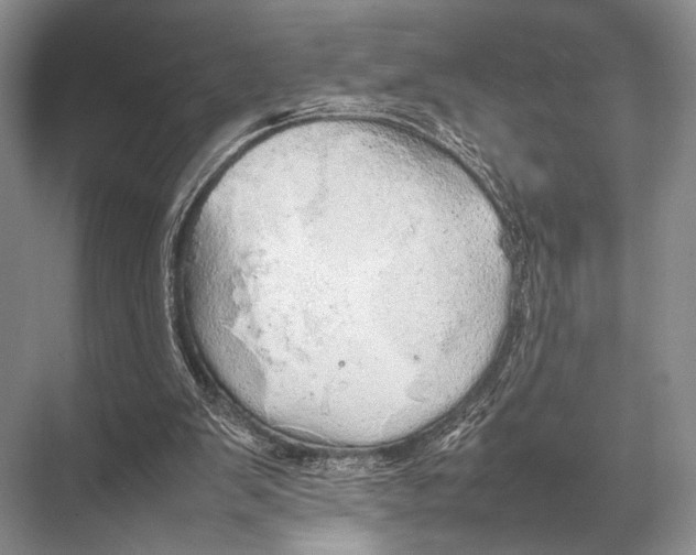 X0000067870103200605041817