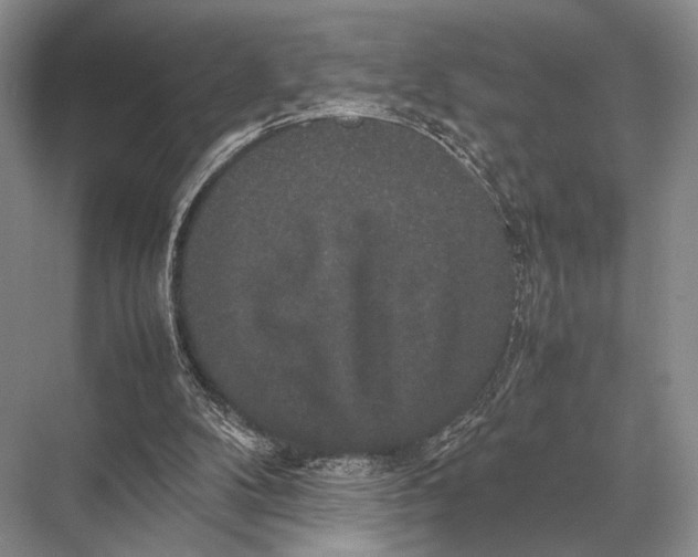 X0000067870104200605041817