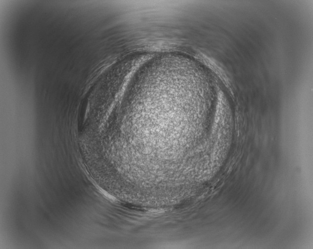 X0000067870105200605041817