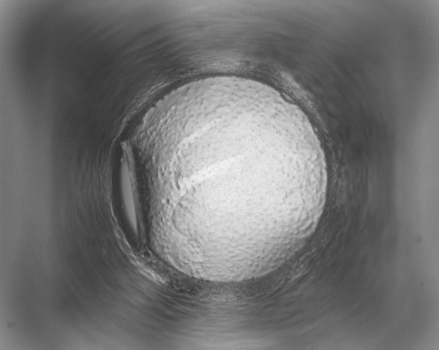 X0000067870106200605041817