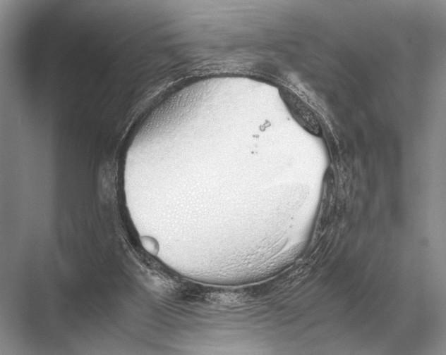 X0000067870107200605041817