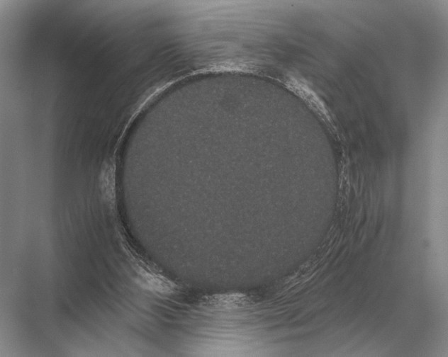 X0000067870108200605041817