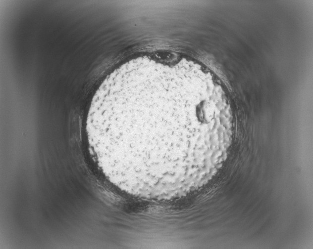 X0000067870109200605041817