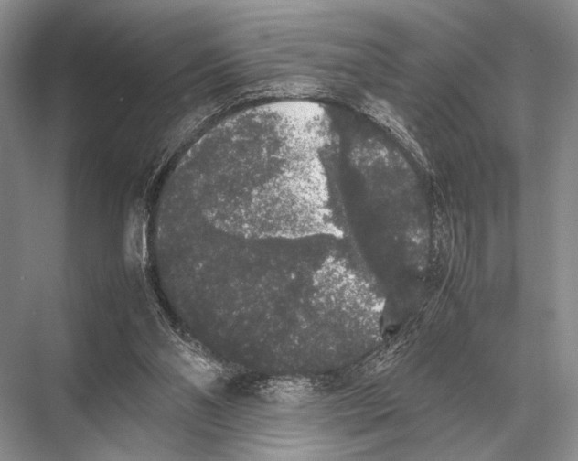 X0000067870110200605041817