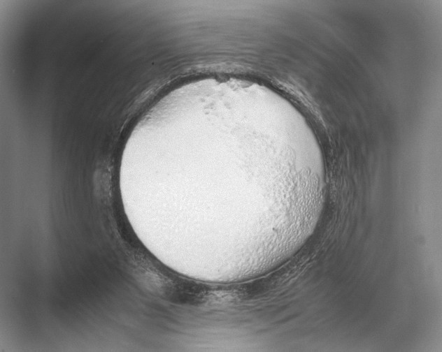 X0000067870111200605041817