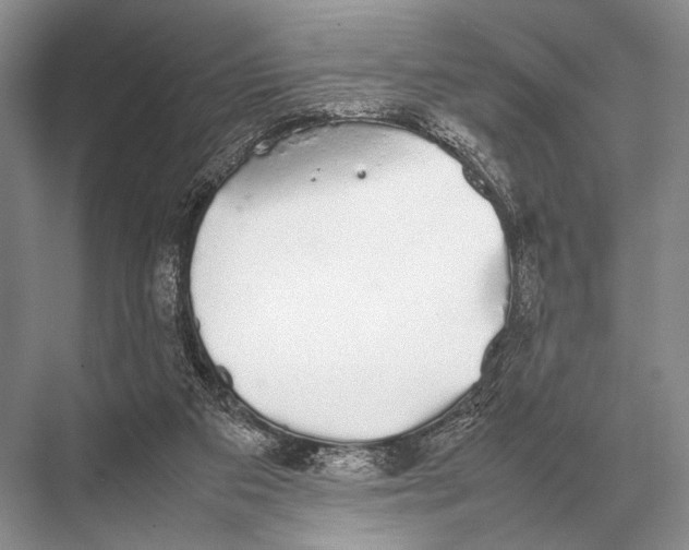 X0000067870113200605041817