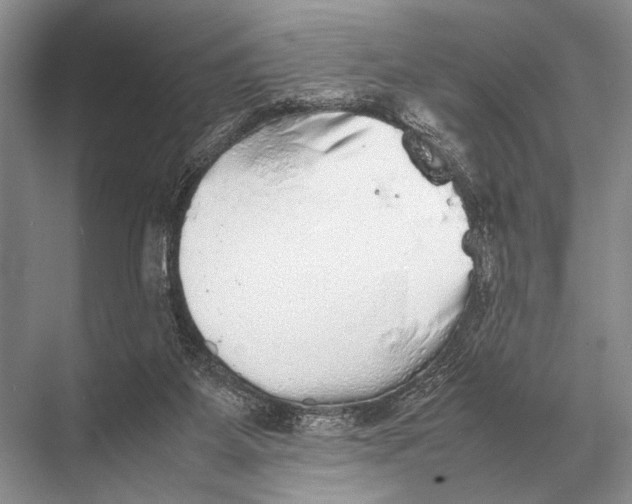 X0000067870115200605041817