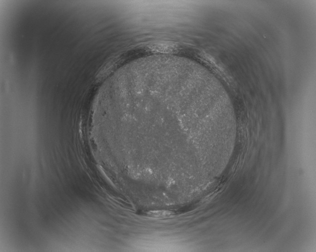 X0000067870117200605041817