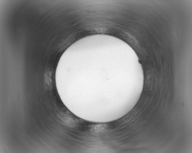 X0000067870122200605041817