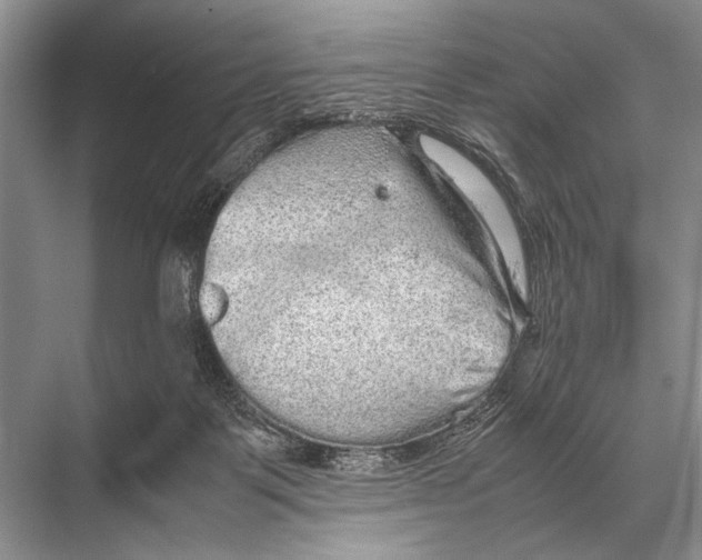 X0000067870123200605041817