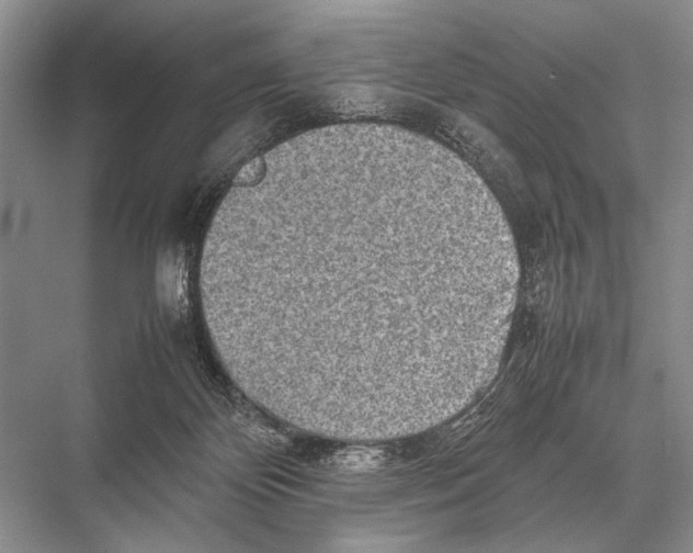 X0000067870124200605041817