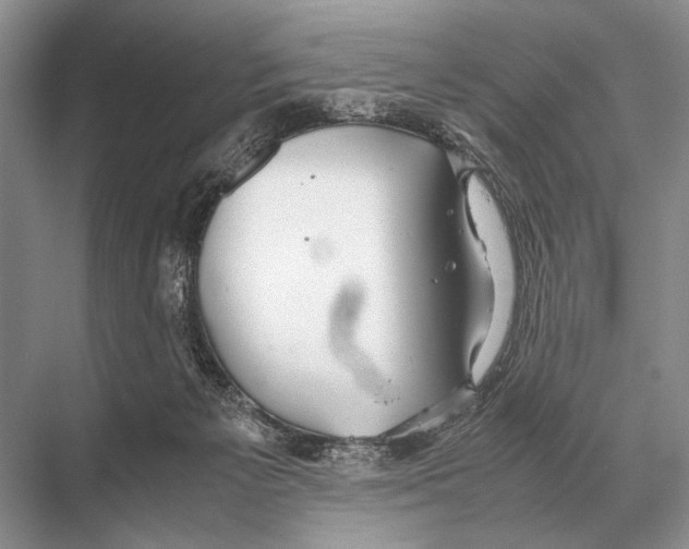 X0000067870125200605041817