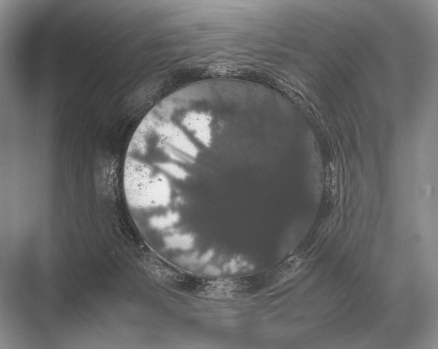 X0000067870127200605041817