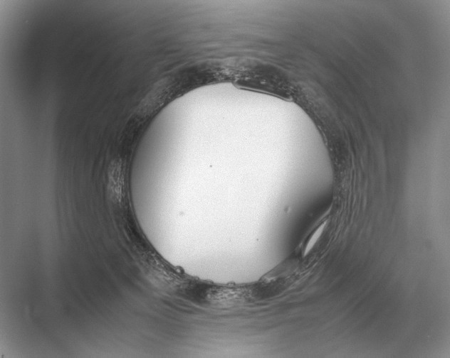 X0000067870129200605041817