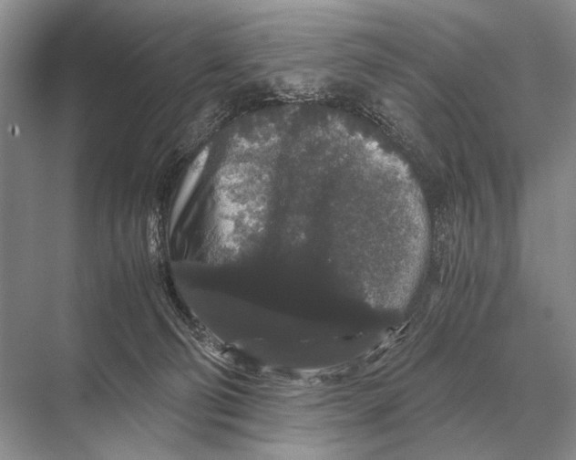 X0000067870130200605041817