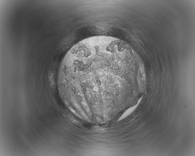 X0000067870131200605041817