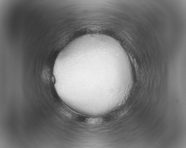 X0000067870135200605041817