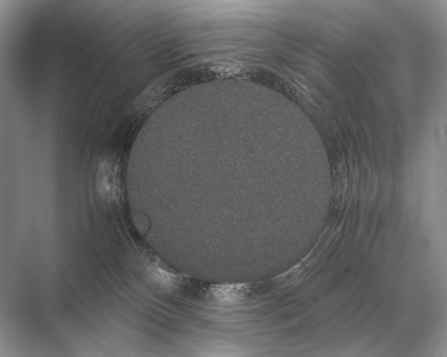 X0000067870136200605041817