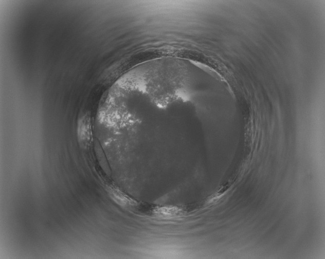 X0000067870137200605041817