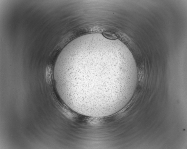 X0000067870142200605041817