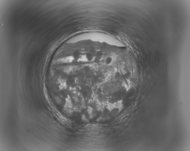 X0000067870145200605041816