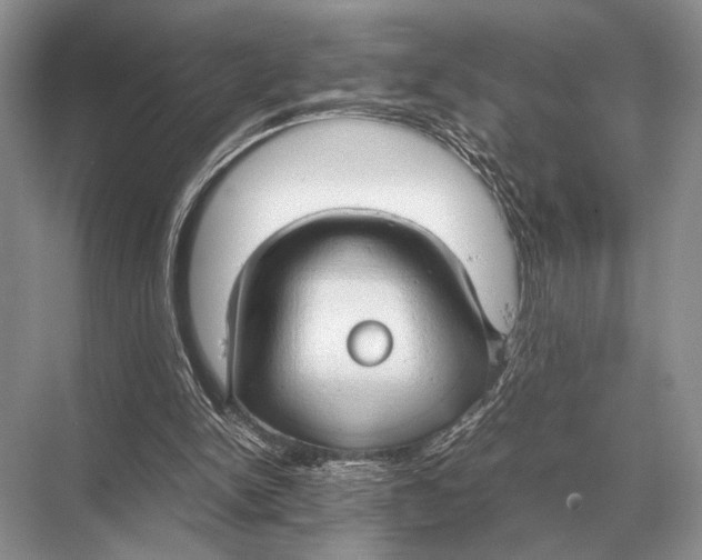 X0000067870150200605041816