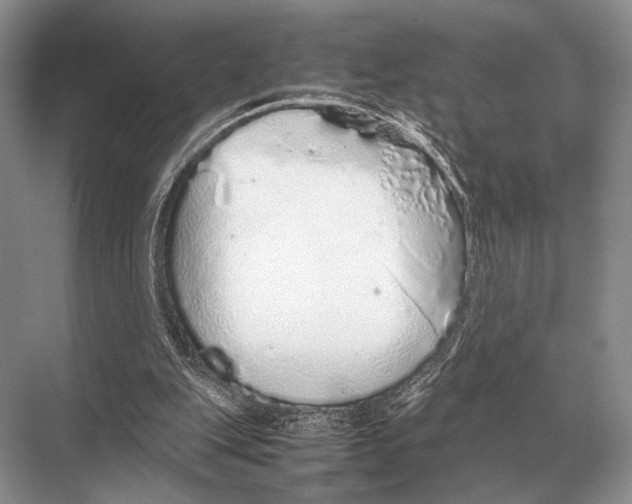 X0000067870151200605041816