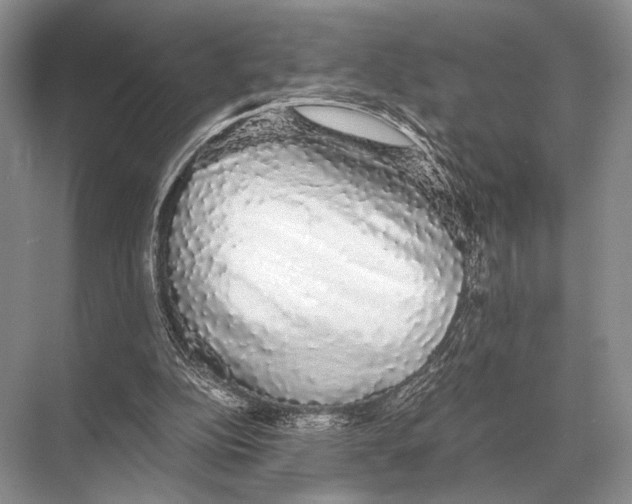 X0000067870152200605041816