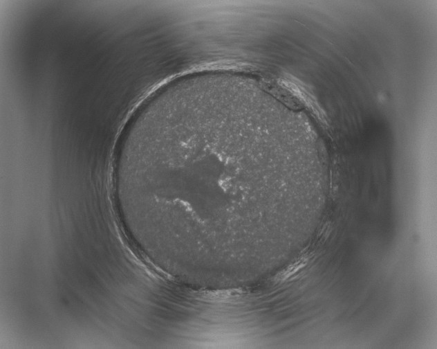 X0000067870156200605041816