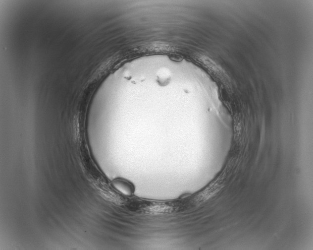 X0000067870158200605041816